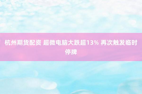 杭州期货配资 超微电脑大跌超13% 再次触发临时停牌
