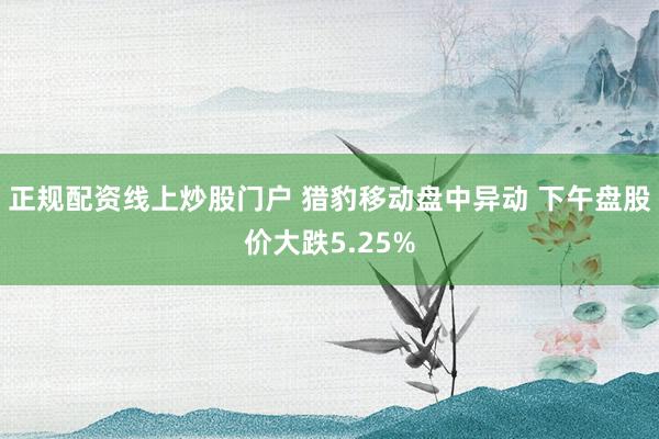 正规配资线上炒股门户 猎豹移动盘中异动 下午盘股价大跌5.25%