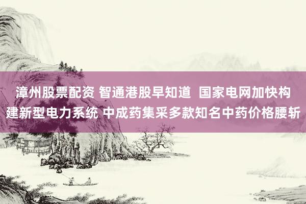 漳州股票配资 智通港股早知道  国家电网加快构建新型电力系统 中成药集采多款知名中药价格腰斩