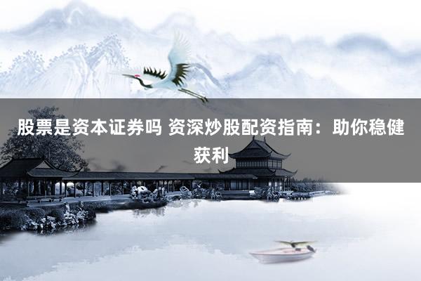 股票是资本证券吗 资深炒股配资指南：助你稳健获利